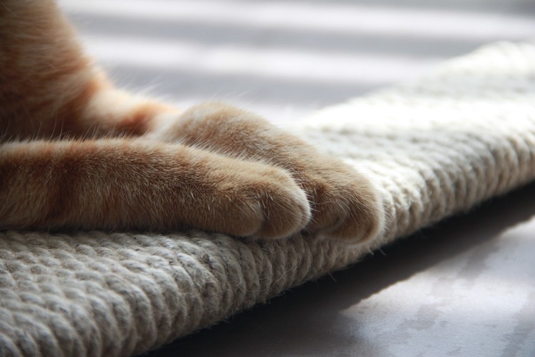 SimpleScratcher - drapak poziomy dla kota 02