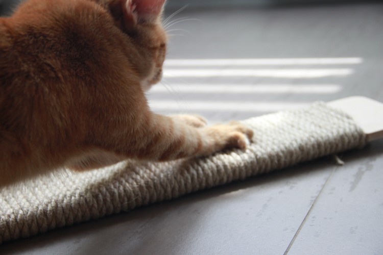 SimpleScratcher - drapak poziomy dla kota 01