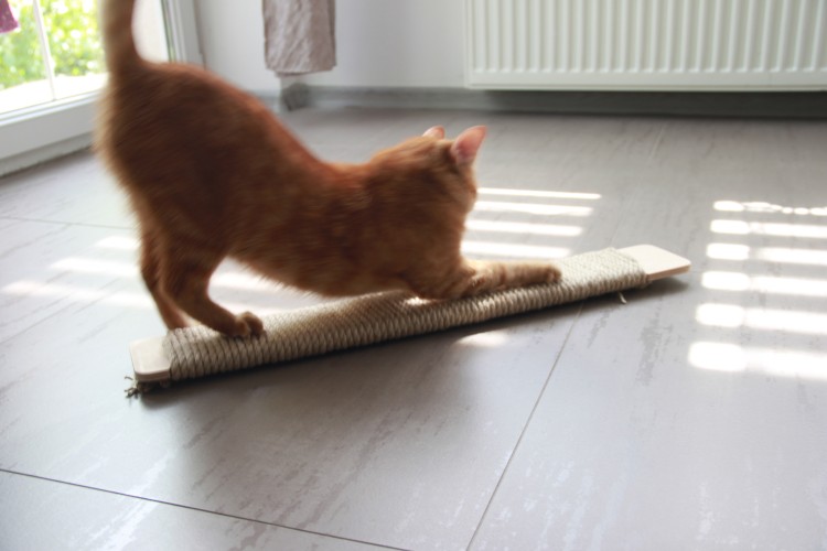 SimpleScratcher - drapak poziomy dla kota 03